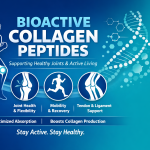 The Science Behind Bioactive Collagen Peptides